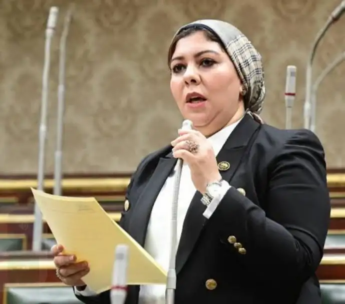برلمانية :  الترحيب الواسع بدعوة الرئيس السيسي لقمة السلام بالقاهرة يعكس الثقة في مصر من أجل الخروج بحلول للأزمة الراهنة