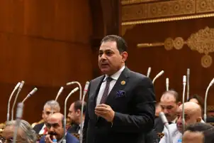 النائب فرج فتحي: مجازر الاحتلال ضد سكان غزة "عار" سيلاحق المجتمع الدولي