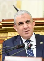 برلماني يشيد بالقرار المصري الأردني الفلسطيني بإلغاء القمة الرباعية مع أمريكا بعد قصف مستشفى المعمدانى بغزة  وسقوط مئات الضحايا