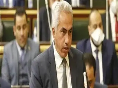 السنباطي: المشاركة في الانتخابات الرئاسية استكمال للمشروع الوطني