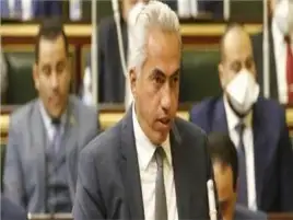 السنباطي: المشاركة في الانتخابات الرئاسية استكمال للمشروع الوطني
