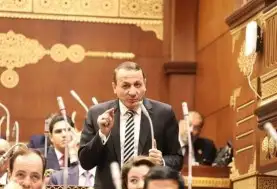 برلمانية حماة الوطن ترفض الاعتداءات الإسرائيلية وتؤيد الرئيس في الحفاظ على أمن مصر القومي