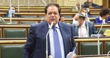 محمد أبو العينين: نفوض الرئيس  لحماية الأمن القومي المصري.. ونرفض تصفية القضية الفلسطينية