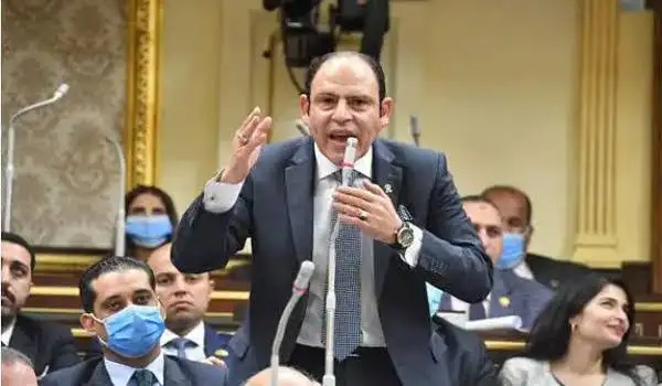برلماني مدافعا عن غزة: الغرب يده خبيثة وملطخة بالدماء.. وموقف مصر مشرف