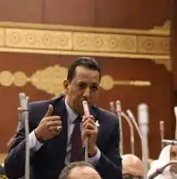 " اسامة الهواري " يطالب بتشريع يجرم تداول الاسمدة وغرامة مالية لردع السوق السوداء