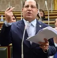 النائب أحمد نويصر: البيان الرئاسي لقمة القاهرة للسلام كشف ازدواجية التعامل الدولي مع القضية الفلسطينية