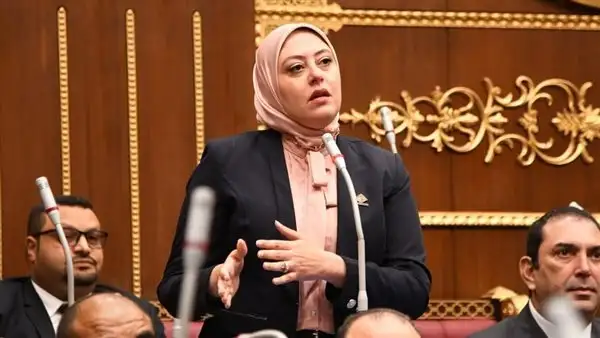 نائبة التنسيقية نهى زكى تدعو لإطلاق إستراتيجية شاملة لصناعة الأسمدة