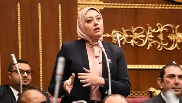 نائبة التنسيقية نهى زكى تدعو لإطلاق إستراتيجية شاملة لصناعة الأسمدة