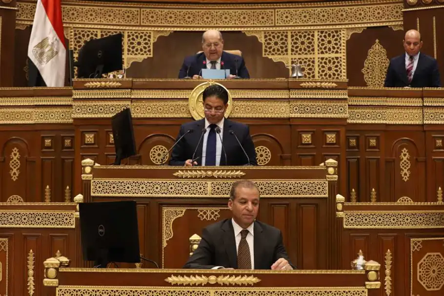 الحكومة للشيوخ: يوجد سعرين للغاز المدعم لمصانع الأسمدة والمحلى أقل من المصدر