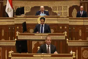 الحكومة للشيوخ: يوجد سعرين للغاز المدعم لمصانع الأسمدة والمحلى أقل من المصدر