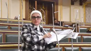 النائبة سميرة الجزار تطالب فى طلب احاطة بمواجهة ظاهرة ارتفاع اسعار اللحوم الحمراء