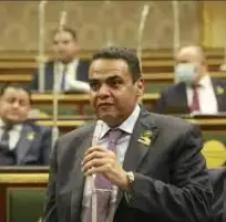 النائب نادر الخبيري: القمة المصرية الفرنسية دليل جديد على استمرار الدور التاريخي والمحوري للدولة المصرية