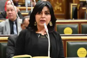 النائبة هند رشاد: المؤتمر الصحفي للرئيس السيسي ونظيره الفرنسي تأكيد على موقف مصر الراسخ والثابت لدعم القضية الفلسطينية