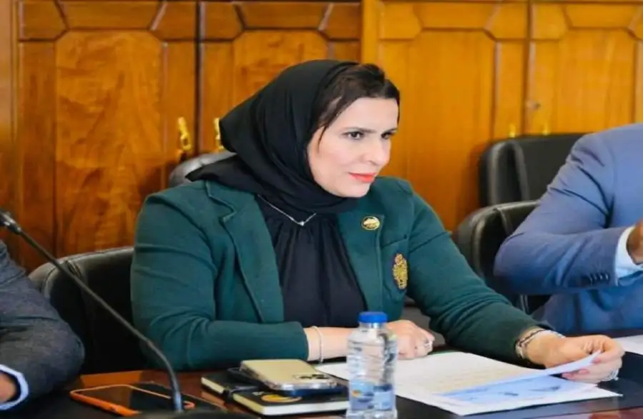 النائبة نيفين الكاتب تشيد بكلمة الرئيس السيسي: مصر رائدة فى إرساء السلام