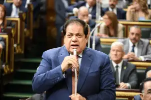 وكيل مجلس النواب: قانون وكالة ضمان الصادرات سيساهم في تشجيع الاستثمار