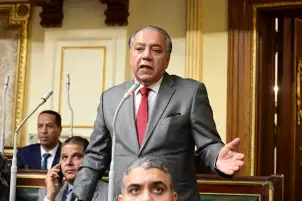 رئيس "إفريقية النواب": حجم الصادرات المصرية لأفريقيا يمثل 5 مليارات دولار فقط