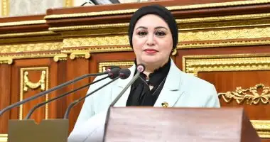 وكيل القوى العاملة بالنواب : ثقتنا بلا حدود فى قدرة الرئيس السيسى فى الحفاظ على امن مصر وحدودها