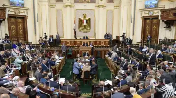 مجلس النواب يوافق على مواد الإصدار بقانون المجلس القومي للطفولة والأمومة