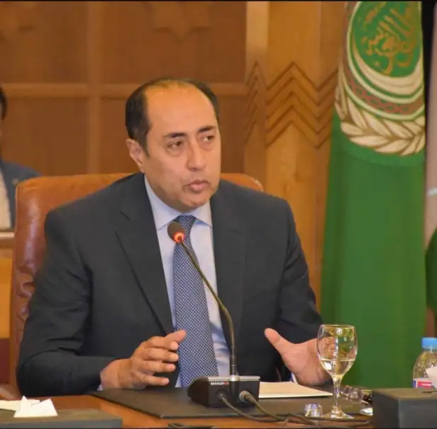 تزامنا مع الجلسة الطارئة حول غزة.. حسام زكي: قمة عربية- إفريقية في 11 نوفمبر المقبل