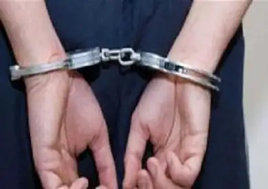 القبض على سائق سيارة ميكروباص دهس سيدة بالبساتين