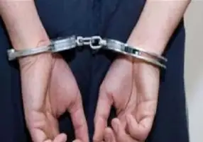 القبض على سائق سيارة ميكروباص دهس سيدة بالبساتين
