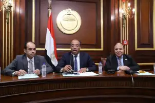 غدا "صحة الشيوخ" تناقش إنشاء مستشفي متخصص لعلاج الأمراض النفسية بقنا