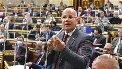 برلمانى يشيد بدور وزارة الاوقاف فى تقديم المساعدات للأشقاء الفلسطينيين