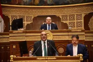 النائب عمرو عزت يستعرض دراسة سوق الكربون أمام مجلس الشيوخ