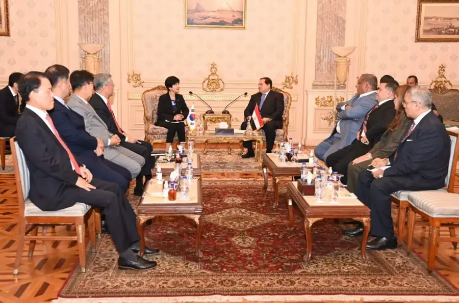 وكيل مجلس النواب يلتقي نائبة رئيس الجمعية الوطنية بكوريا الجنوبية