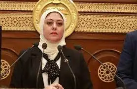 نائبة التنسيقية نهي أحمد زكى توصي سرعة العمل على حوكمة سوق الكربون