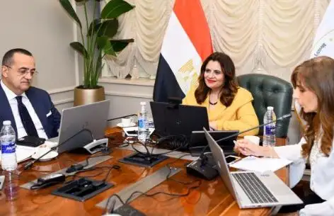 المدير التنفيذى للهيئة الوطنية للانتخابات: لدينا 138 مقرا انتخابيا بالسفارات المصرية حول العالم