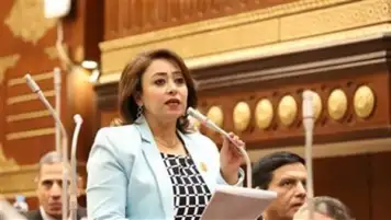 أمين سر حقوق الإنسان بالشيوخ تُثمن  استجابة السيسي لمعالجة الطفل الفلسطيني في مصر