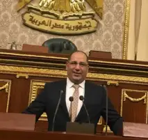 النائب أحمد نويصر: توجيهات الرئيس السيسي بنقل الأطفال حديثي الولادة من غزة للمستشفيات المصرية هدفها الحفاظ على أرواحهم