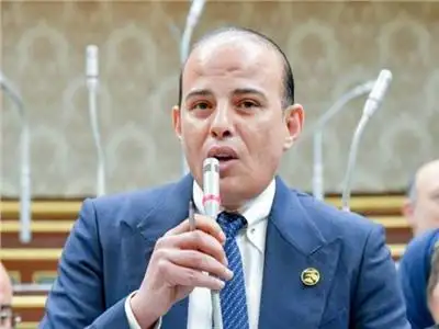 أمين سر "اقتصادية النواب": المشاركة فى الانتخابات تعكس مكانة مصر وتعزز فرص الديمقراطية