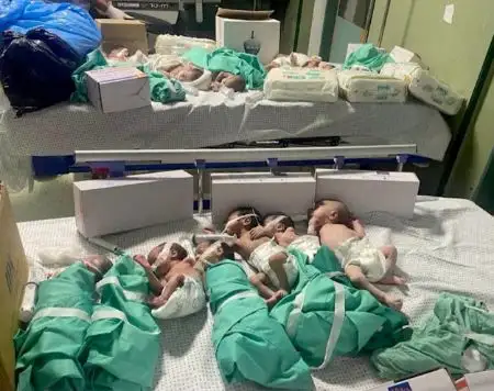 بعد إجلائهم من الشفاء.. نقل الأطفال الخدج إلى أحد المستشفيات بقطاع غزة نظرا لتدهور حالاتهم