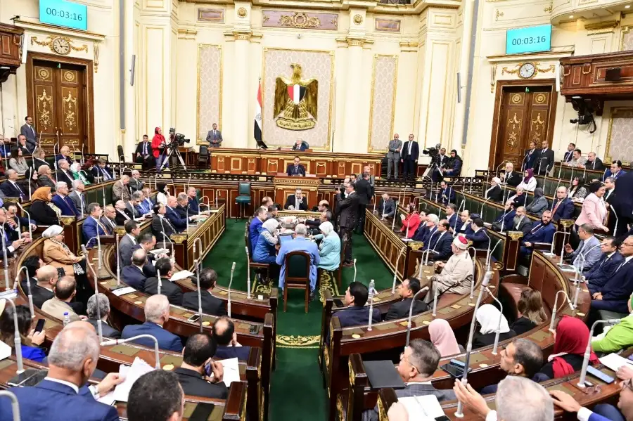 رئيس عربية النواب: هناك مخططات تحاك ضد الدولة المصرية.. ونتصدى لكل محاولات التهجير لأهالي فلسطين