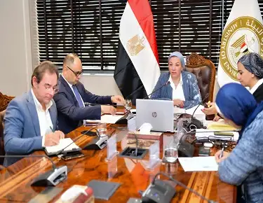 مصر تواصل جهودها لإيصال المساعدات الإنسانية إلى غزة