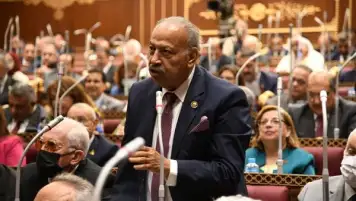 النائب هاني العسال: مبادرة منتدى شباب العالم تتكامل مع جهود مصر الرامية لإحياء مسار السلام