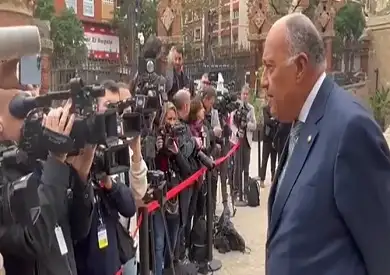 وزير الخارجية: إقامة الدولة الفلسطينية الحل الوحيد لإنهاء الصراع