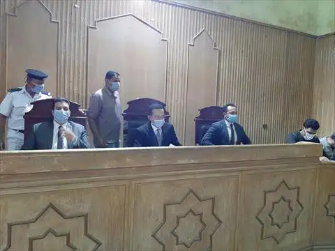 إحالة شابين للمفتى بتهمة قتل فتاة والتعدي عليها جنسيا بالدقهلية