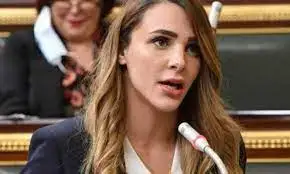 طلب إحاطة للنائبة فاطمة سليم بشأن أزمة ارتفاع أسعار السلع الغذائية بشكل غير مسبوق.