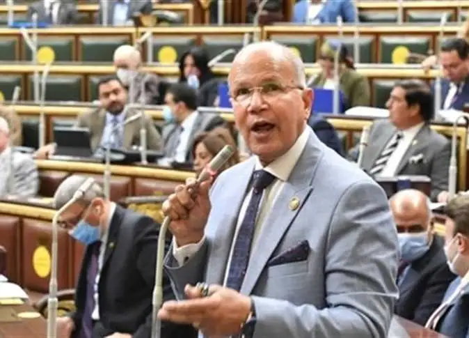 برلماني: تأييد الرئيس السيسى فى الانتخابات الرئاسية مهمة وطنية
