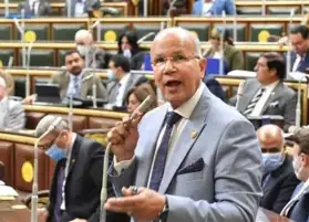 برلماني: تأييد الرئيس السيسى فى الانتخابات الرئاسية مهمة وطنية