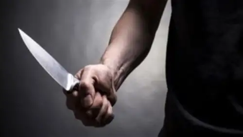 ضبط قاتل ابنة خالته بأدفو في أسوان