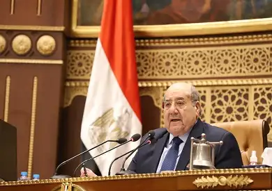 رئيس مجلس الشيوخ: نثمن دور القضاة في الإشراف على الانتخابات الرئاسية