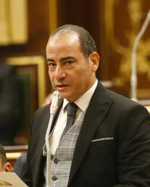 مجاهد نصار: المصريين أثبتوا وعيهم السياسي باستخدام حقهم الدستوري في الانتخابات الرئاسية