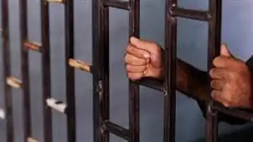 حبس 3 أشخاص لسرقتهم اللوحات المعدنية الخاصة بالسيارات في العمرانية