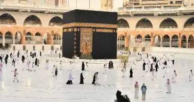 غرفة السياحة تطالب الشركات بإدخال بيانات دقيقة للراغبين فى أداء فريضة الحج.. وتحذر المتلاعبين