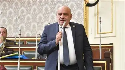 النائب سيد حنفى يطالب الحكومة بحماية المواطنين من الكيانات التعليمية الوهمية