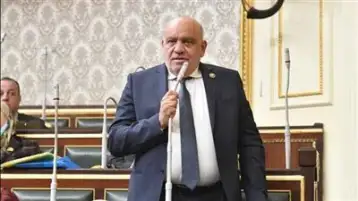 النائب سيد حنفى يطالب الحكومة بحماية المواطنين من الكيانات التعليمية الوهمية
